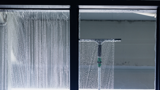 Window Cleaning